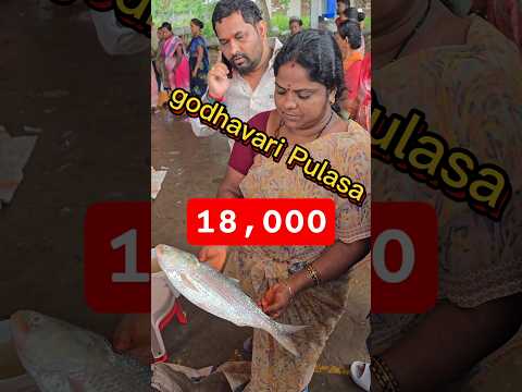 18,000 😰 Godavari పులస చేప #reels #viral #video #shorts #shortsfeed #fish #youtubeshorts #fun