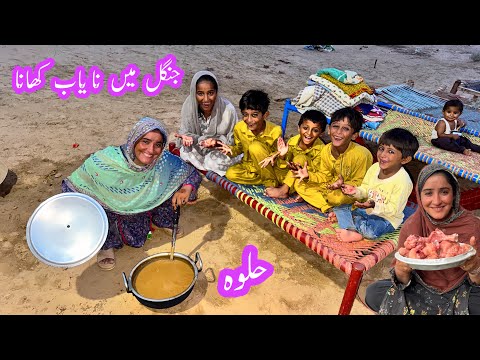 Yahan Jab Sy Aye Pehli Baar Nayaab Khana Naseeb Hua Is Din Ka Barson Sy Intazaar Tha 2026 Family’s