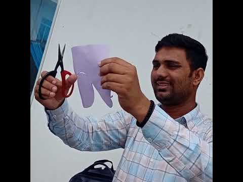எமது KJM International College இல் இன்று இடம்பெற்ற Origami Art..