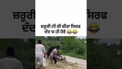 🤣😂latest punjabi song 2026, punjabi song,#trending #love #instagram #shorts #shortsfeed#viral #love