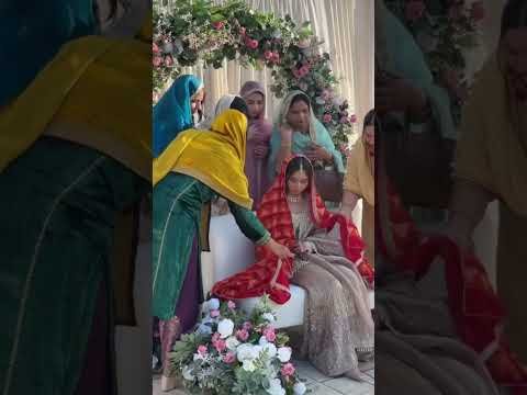 🤍 New punjabi short video – YouTube short – punjabi song #couplegoal#punjabisong#shortvideo#lovesong