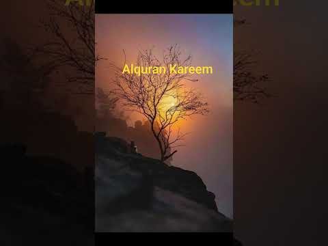 Beautiful Islamic status on Muslim 4k Islamic status  #Islam #allah #ytshort like Camnts subscribe