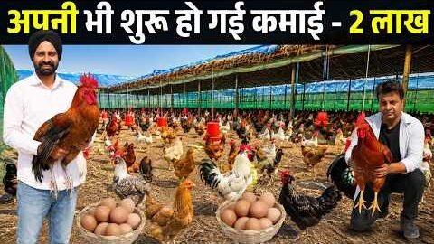 लंदन से ज्यादा India में कमाता हूँ II Desi Murga Farm II Poultry Business II Desi Murgi Farm