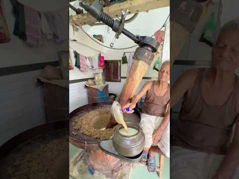 देसी मीठा तेल की घानी !#desi #villagelife #rajasthan #short