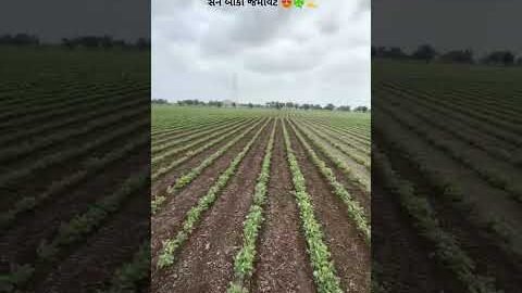 Amazing Desi Jugaad by Farming #Desi #Jugaad #Jugad #Farming #Kheti #Khetibadi #Agriculture #Tractor