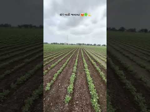Amazing Desi Jugaad by Farming #Desi #Jugaad #Jugad #Farming #Kheti #Khetibadi #Agriculture #Tractor