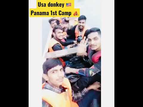 Usa Donkey 🇺🇸 Panama 1st camp #trending #viral#video