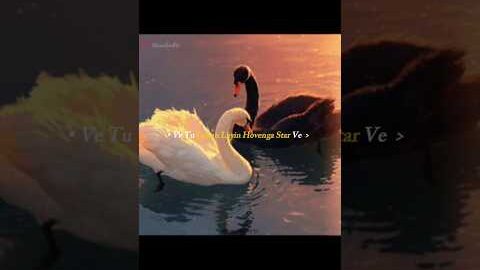 Ve Tu Lokan Layin | Lost Love | Prem Dhillon | New Punjabi Songs | #yt #humblemusic #punjabimusic
