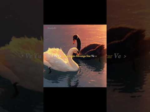 Ve Tu Lokan Layin | Lost Love | Prem Dhillon | New Punjabi Songs | #yt #humblemusic #punjabimusic
