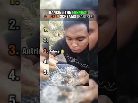 Ranking best chicken screaming moments 😂 (part-37) #shorts