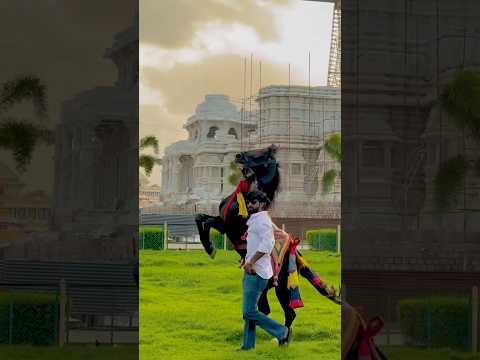 Kohinoor🔥 #shorts #youtube #viral #horse #desi