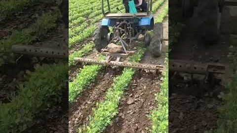 Desi Jugaad by Farming #Desi #Jugaad #Jugad #Farming #Kheti #Khetibadi #Agriculture #Tractor