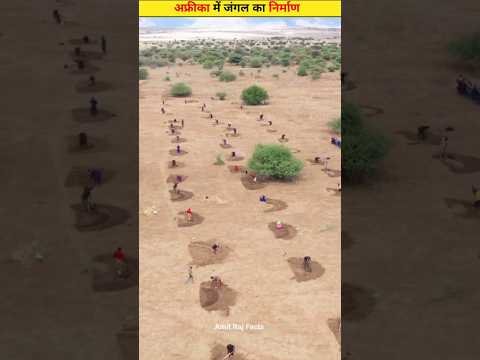 Africa में जंगल का निर्माण 😱। Africa Forest. #shorts #africa #viral #amitrajfacts