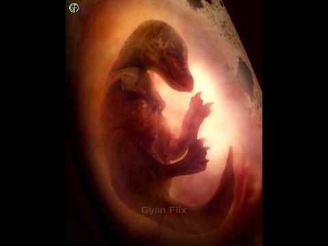 What If Scientists Brought Dinosaurs Back To Life?🔥 #shorts #viral #animals