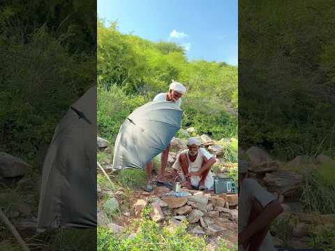 दादा का देसी रेडियो 📻 और चाय 😍#desi #villagelife #youtubeshorts #shorts #trending