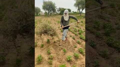 Desi girl ❤️💫😍 #rajasthani  #marwadi #desi # #viralreel #trendingsong #trendingshorts #viralvideo