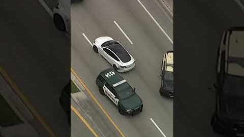 Crazy GTA-Like High Speed Chase | LX News