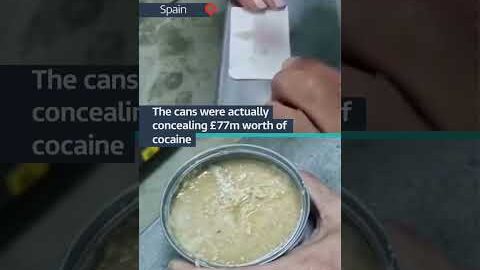 Police bust drugs gang with help of tinned tuna #itvnews #news #tuna #crime #spain #police
