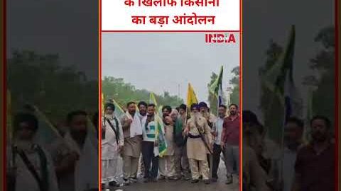 भारत-अमेरिका ट्रेड डील के खिलाफ किसानों का बड़ा आंदोलन #viral #video #unitedstates #india #news