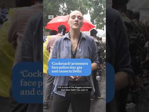 ‘Cockroach’ protests repelled from India’s parliament | The World | ABC NEWS
