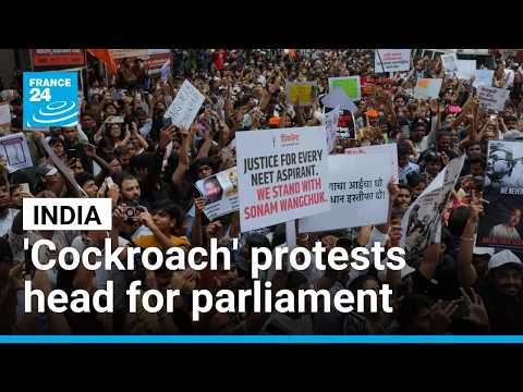 India’s Cockroach party leads thousands of youth in protest to parliament • FRANCE 24 English