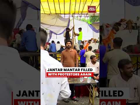 CJP Protest Continues at Jantar Mantar: Morning Visuals From Delhi #cjpprotest #jantarmantar
