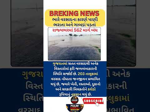 #rain #trending #gujaratinews #gujarat #shorts #shortvideo #shortsfeed #omg #news