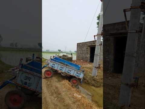 🙂🎋 khetibadi….#desi #shorts #ytshorts #youtube #viral #trendingshorts #video