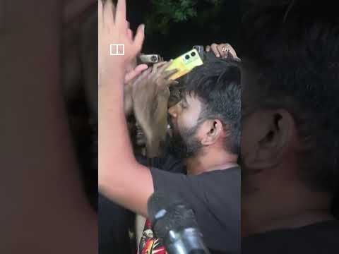 Indian police clash with Gen Z Cockroach Janta Party protesters