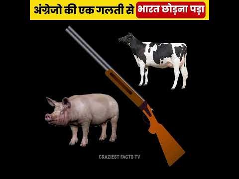 कैसे अंग्रेजों की इस एक गलती से उन्हें भारत छोड़कर भागना पड़ा !🔥😮#shorts #history #ashortaday #yt