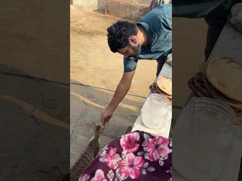 माँ के हाथ की खाना #desifood #rajasthan #youtubeshorts #villagelife #villageshivani #desi