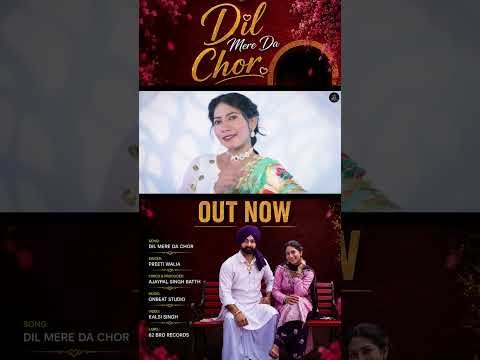 Dil Mere Da Chor – Preeti Walia – Latest Punjabi Song 2026#dilmeredachor #62brorecords