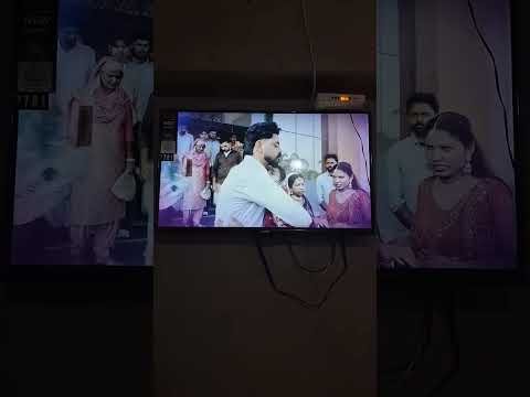 Veera ( Official Video ) Sargi Maan | New Punjabi Song 2024