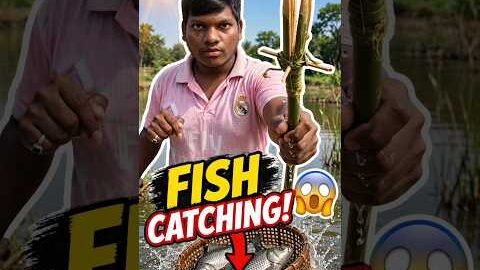 Desi Fish Catching Trick! 😱 #shorts #experiment
