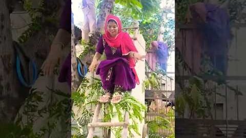 गिरते गिरते बचे 😯😯#minivlog #dailyvlog #dailylifestyle #villagelife #haryanviculture #desi#shorts