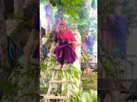 गिरते गिरते बचे 😯😯#minivlog #dailyvlog #dailylifestyle #villagelife #haryanviculture #desi#shorts