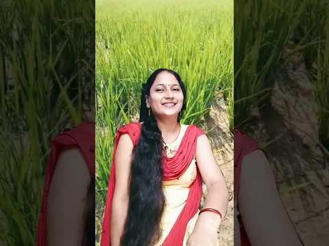 gal sun ve sardaara #erika punjaban #newpunjabisong #shortvideo #viralvideo