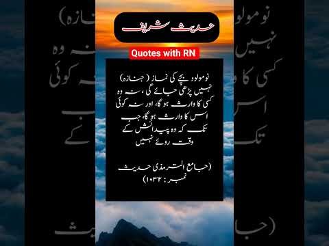 Beautiful Islamic status Islamic status on Muslim, 4k Islamic status  #Islam #allah #ytshort #shorts