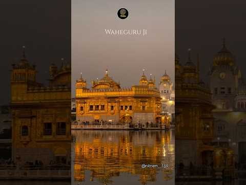 TRUMP (Official Music Video) Cheema Y |Gur Sidhu | New Punjabi Song 2024 #harmandirsahib #trend