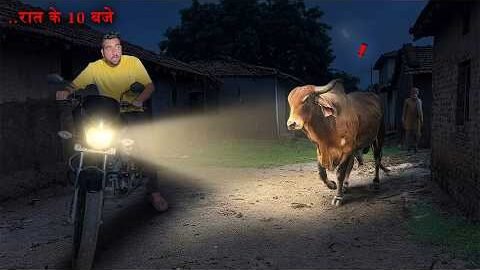 Desi Bull Raat 10 Baje Dhunda… Mil Gaya?🐂😱