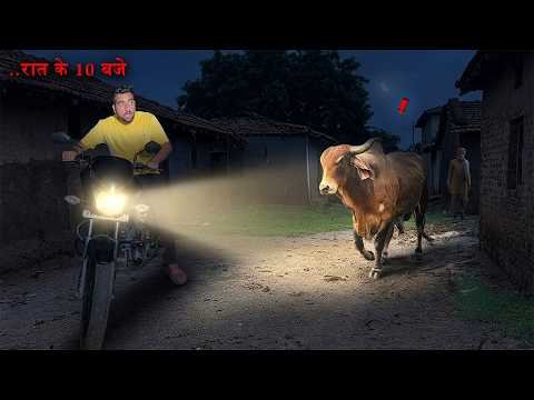 Desi Bull Raat 10 Baje Dhunda… Mil Gaya?🐂😱