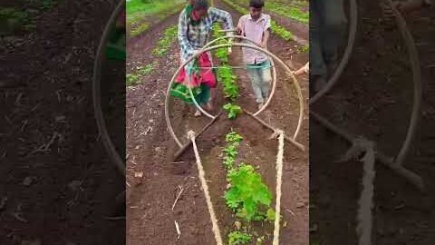Amazing Desi Jugaad by Farming #Desi #Jugaad #Jugad #Farming #Kheti #Khetibadi #Agriculture #Tractor