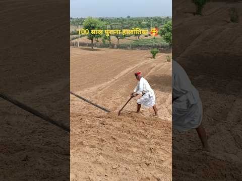 500 साल पुरानी खेत बीजने का तरीका 😘 #villagelife #gaon #border #desi #pani #desert #villagelife