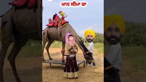 New punjabi song Bhangra Bhagwant Mann Seema ka💃#punjabi#punjabisong#punjabimusic#bhangramusic#short
