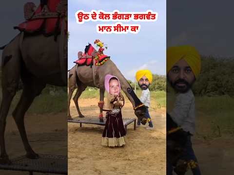 New punjabi song Bhangra Bhagwant Mann Seema ka💃#punjabi#punjabisong#punjabimusic#bhangramusic#short
