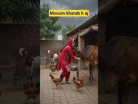 mosum kharab #punjabisong #punjabi #viral #food #punjabifolkmusic #love #villagelife #desi #shorts