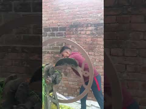 Raat ke shikari#ytshorts #youtubeshorts #viral #sorts #song #desi #motivation