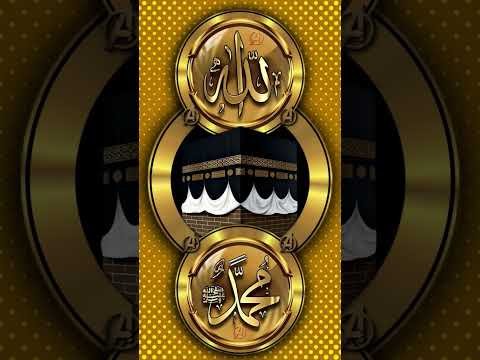 18 SURAH AL-KAHF AYAT 18-28 URDUTRANSLATION #quran#islam #islamic #india #jantarmantar #dehli #india