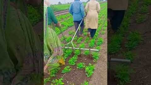 Desi Jugaad by Farming #Desi #Jugaad #Jugad #Farming #Kheti #Khetibadi #Agriculture #easy