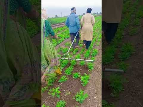 Desi Jugaad by Farming #Desi #Jugaad #Jugad #Farming #Kheti #Khetibadi #Agriculture #easy